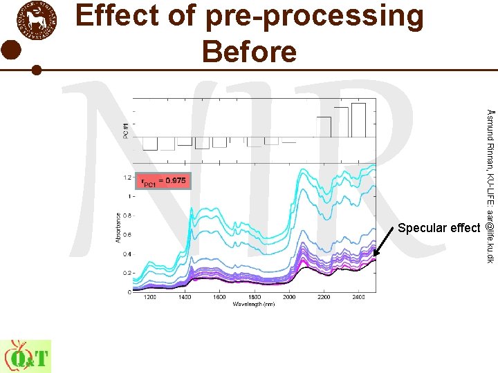 Effect of pre-processing Before Åsmund Rinnan, KU-LIFE: aar@life. ku. dk NIR Specular effect 