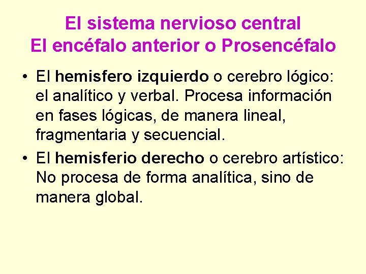 El sistema nervioso central El encéfalo anterior o Prosencéfalo • El hemisfero izquierdo o