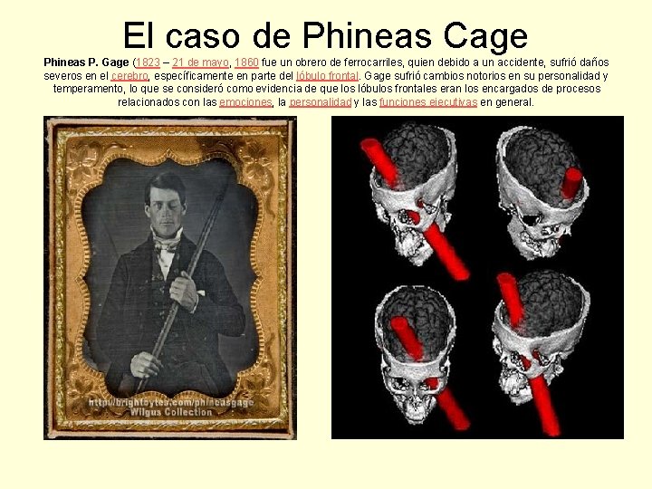 El caso de Phineas Cage Phineas P. Gage (1823 – 21 de mayo, 1860