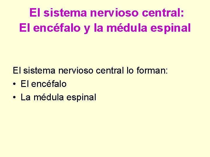 El sistema nervioso central: El encéfalo y la médula espinal El sistema nervioso central