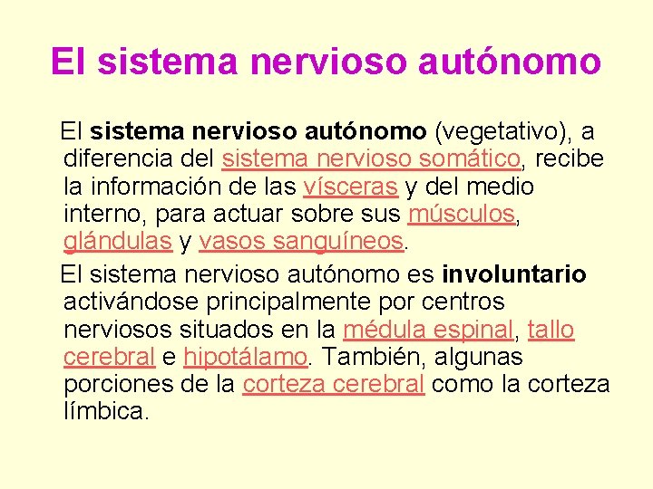 El sistema nervioso autónomo (vegetativo), a diferencia del sistema nervioso somático, recibe la información