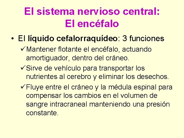 El sistema nervioso central: El encéfalo • El líquido cefalorraquídeo: 3 funciones üMantener flotante