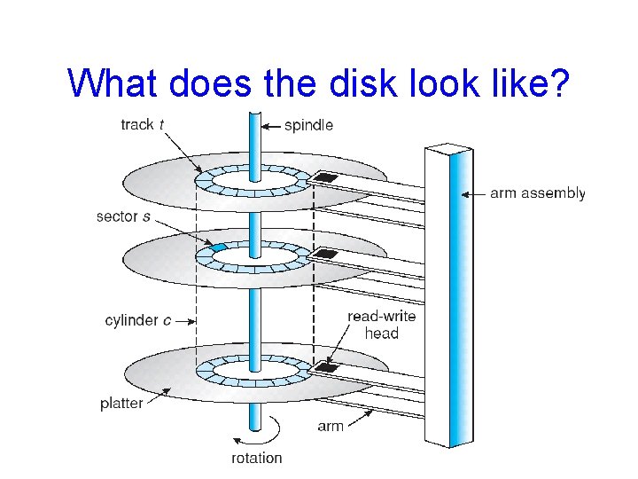 What does the disk look like? 