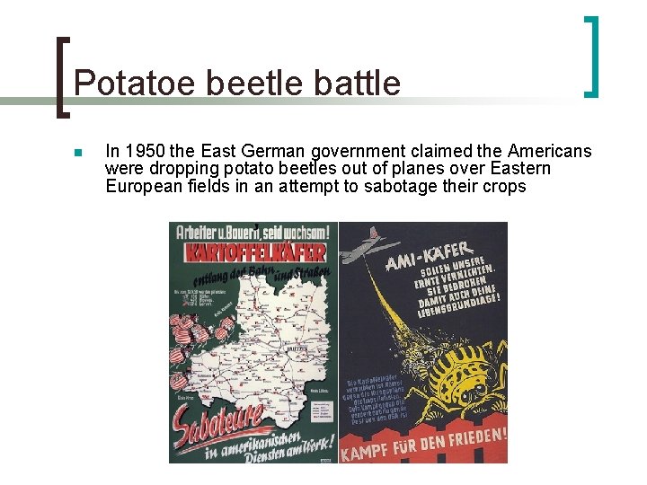 Potatoe beetle battle n In 1950 the East German government claimed the Americans were