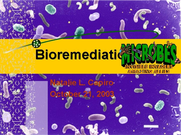 Bioremediation Natalie L. Capiro October 21, 2003 