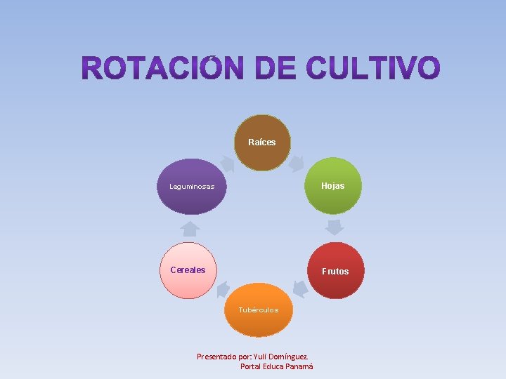 Raíces Leguminosas Hojas Cereales Frutos Tubérculos Presentado por: Yuli Domínguez. Portal Educa Panamá 