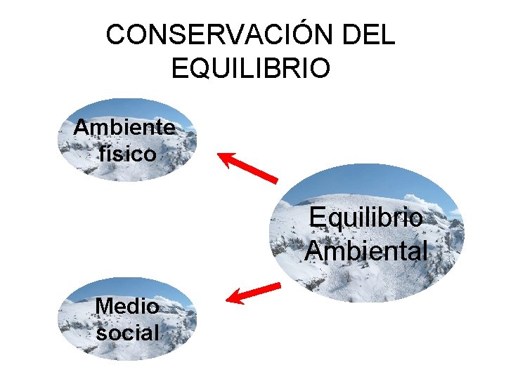 CONSERVACIÓN DEL EQUILIBRIO Ambiente físico Equilibrio Ambiental Medio social 