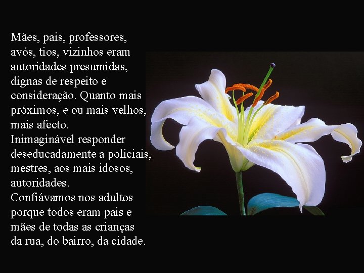 Mães, pais, professores, avós, tios, vizinhos eram autoridades presumidas, dignas de respeito e consideração.