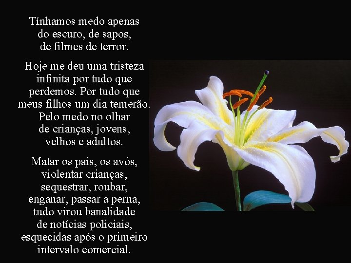 Tínhamos medo apenas do escuro, de sapos, de filmes de terror. Hoje me deu