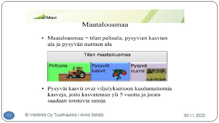 11 © Viestintä Oy Tuulihaukka / Anna Setälä 30. 11. 2020 