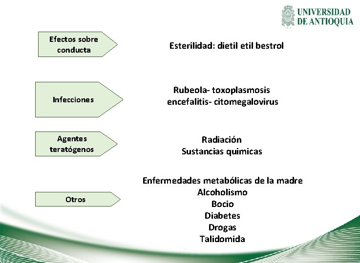 Efectos sobre conducta Esterilidad: dietil bestrol Infecciones Rubeola- toxoplasmosis encefalitis- citomegalovirus Agentes teratógenos Radiación