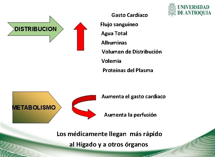 Gasto Cardíaco DISTRIBUCION Flujo sanguíneo Agua Total Albuminas Volumen de Distribución Volemia Proteínas del