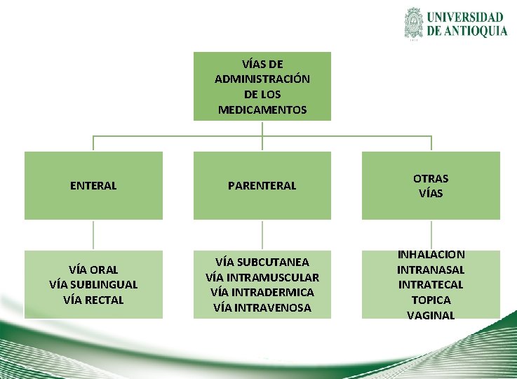 VÍAS DE ADMINISTRACIÓN DE LOS MEDICAMENTOS ENTERAL PARENTERAL OTRAS VÍA ORAL VÍA SUBLINGUAL VÍA