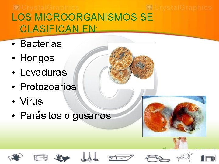 LOS MICROORGANISMOS SE CLASIFICAN EN: • Bacterias • Hongos • Levaduras • Protozoarios •