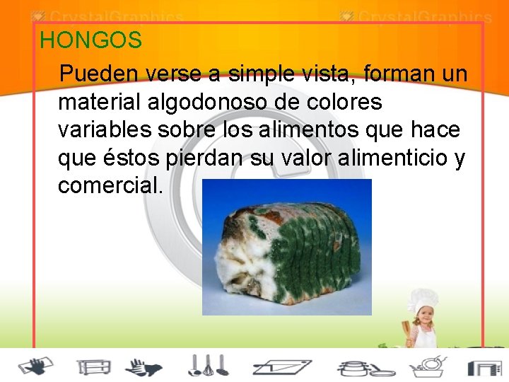 HONGOS Pueden verse a simple vista, forman un material algodonoso de colores variables sobre
