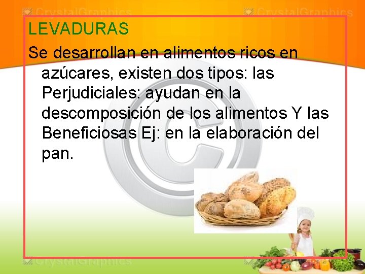 LEVADURAS Se desarrollan en alimentos ricos en azúcares, existen dos tipos: las Perjudiciales: ayudan