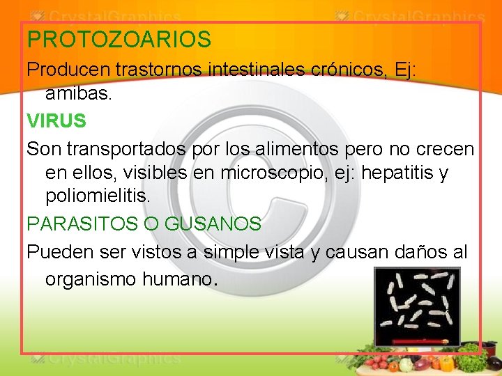 PROTOZOARIOS Producen trastornos intestinales crónicos, Ej: amibas. VIRUS Son transportados por los alimentos pero