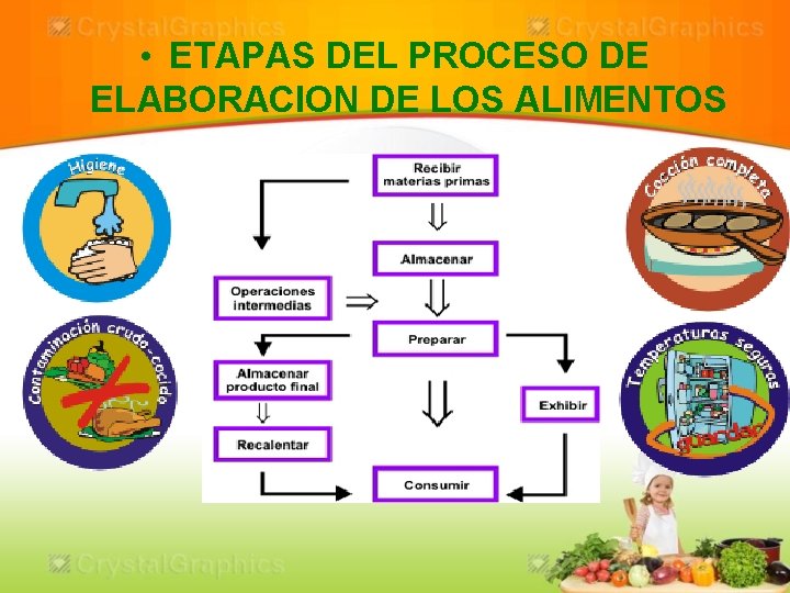  • ETAPAS DEL PROCESO DE ELABORACION DE LOS ALIMENTOS 