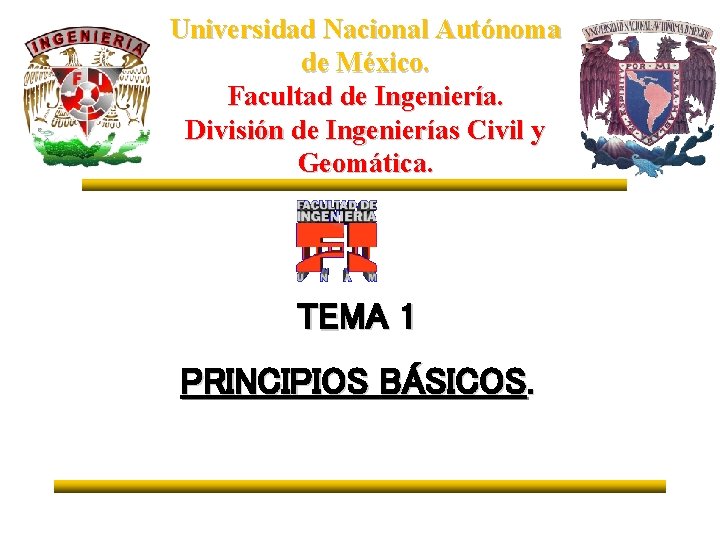 Universidad Nacional Autónoma de México. Facultad de Ingeniería. División de Ingenierías Civil y Geomática.