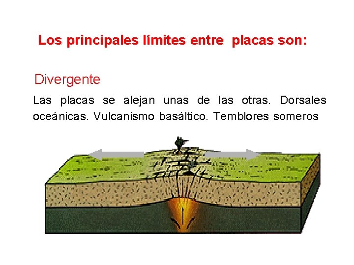  Los principales límites entre placas son: Divergente Las placas se alejan unas de