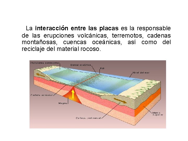  La interacción entre las placas es la responsable de las erupciones volcánicas, terremotos,