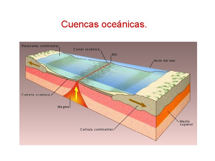  Cuencas oceánicas. 