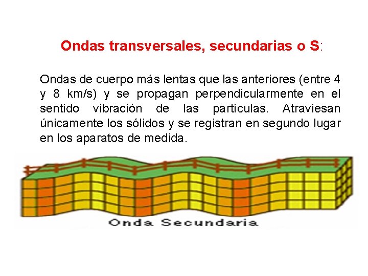 Ondas transversales, secundarias o S: Ondas de cuerpo más lentas que las anteriores (entre