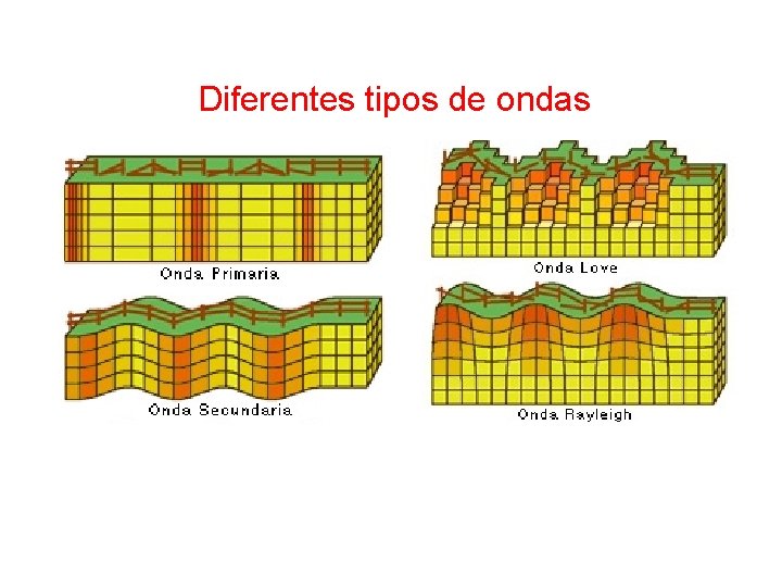 Diferentes tipos de ondas 