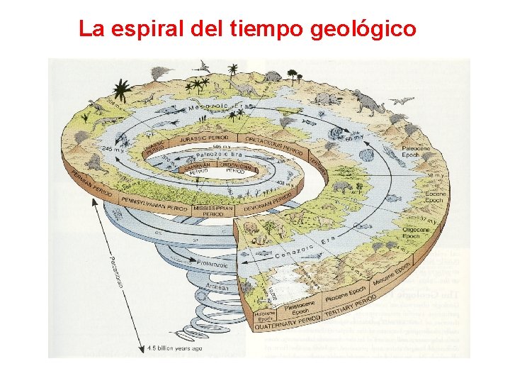 La espiral del tiempo geológico 