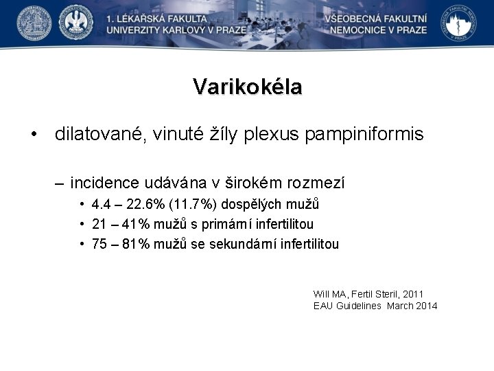 Varikokéla • dilatované, vinuté žíly plexus pampiniformis – incidence udávána v širokém rozmezí •