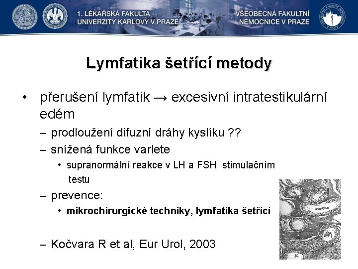 Lymfatika šetřící metody • přerušení lymfatik → excesivní intratestikulární edém – prodloužení difuzní dráhy