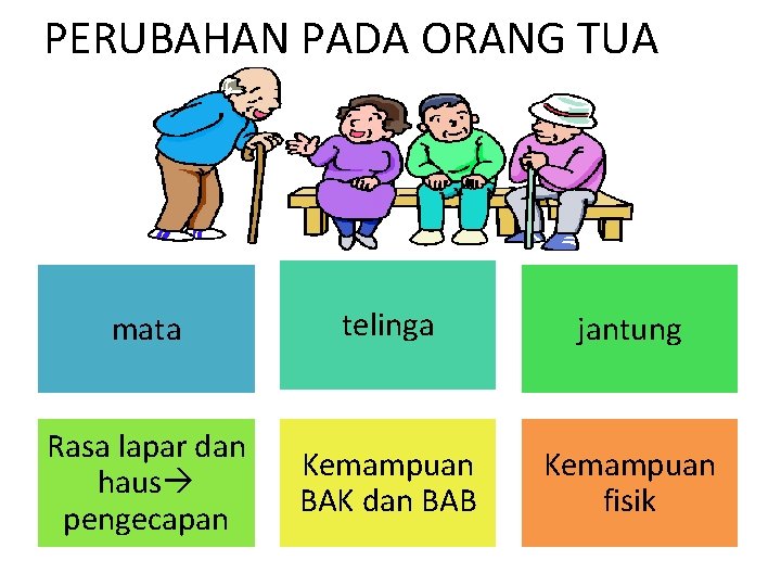 PERUBAHAN PADA ORANG TUA mata telinga jantung Rasa lapar dan haus pengecapan Kemampuan BAK