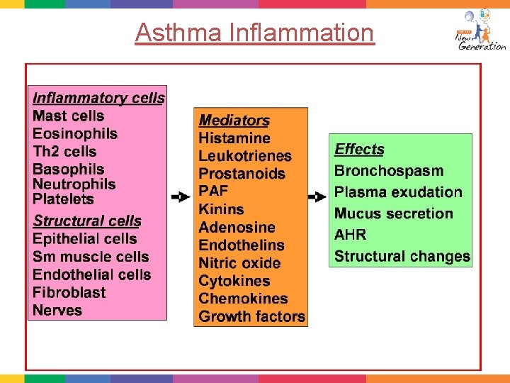 Asthma Inflammation 
