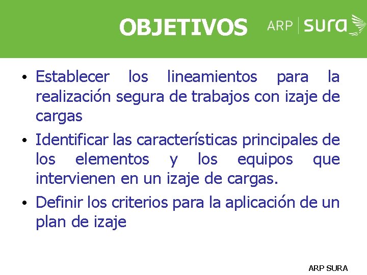 OBJETIVOS • Establecer los lineamientos para la realización segura de trabajos con izaje de OBJETIVOS • Establecer los lineamientos para la realización segura de trabajos con izaje de