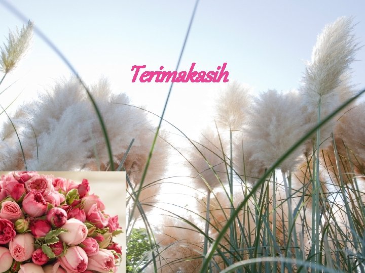 Terimakasih 
