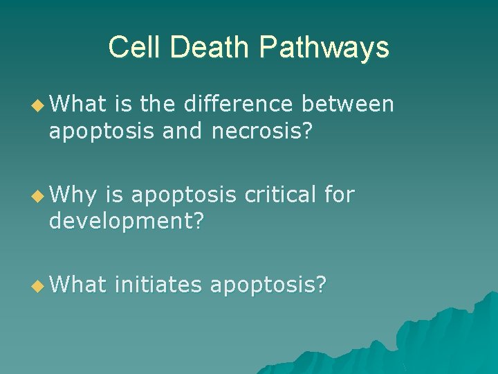 Cell Death Pathways u What is the difference between apoptosis and necrosis? u Why Cell Death Pathways u What is the difference between apoptosis and necrosis? u Why