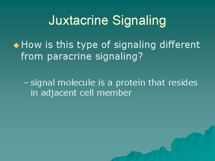 Juxtacrine Signaling u How is this type of signaling different from paracrine signaling? – Juxtacrine Signaling u How is this type of signaling different from paracrine signaling? –
