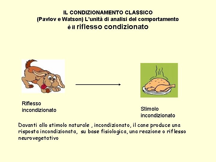 IL CONDIZIONAMENTO CLASSICO (Pavlov e Watson) L’unità di analisi del comportamento è il riflesso