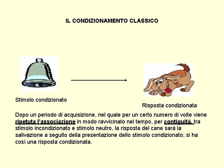 IL CONDIZIONAMENTO CLASSICO Stimolo condizionato Risposta condizionata Dopo un periodo di acquisizione, nel quale