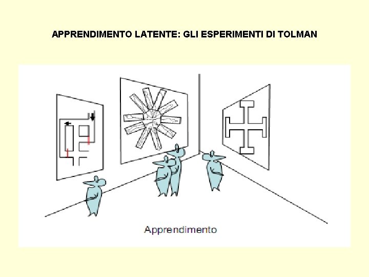 APPRENDIMENTO LATENTE: GLI ESPERIMENTI DI TOLMAN 