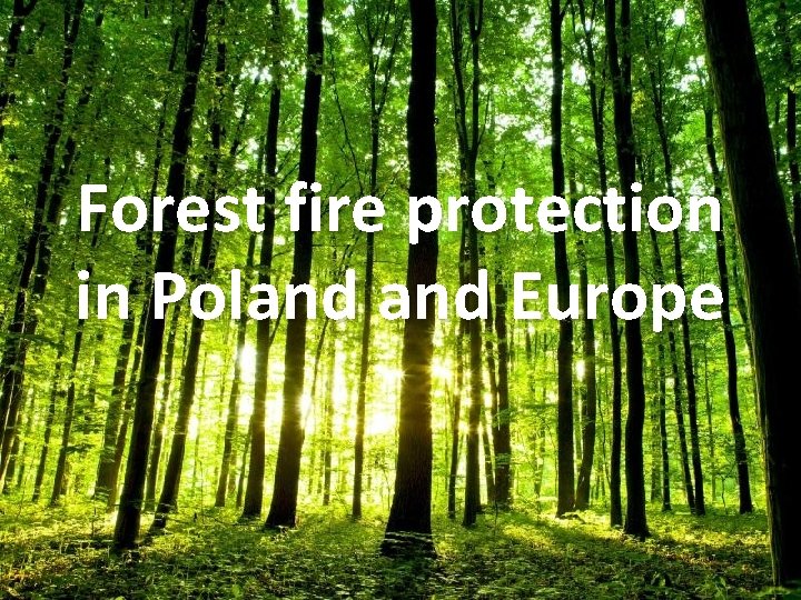 Forest fire protection in Poland Europe 