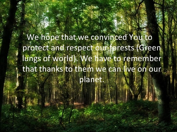 We hope that we convinced You to protect and respect our forests (Green lungs We hope that we convinced You to protect and respect our forests (Green lungs