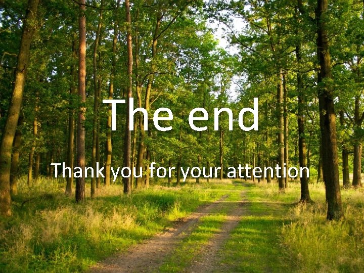 The end Thank you for your attention 