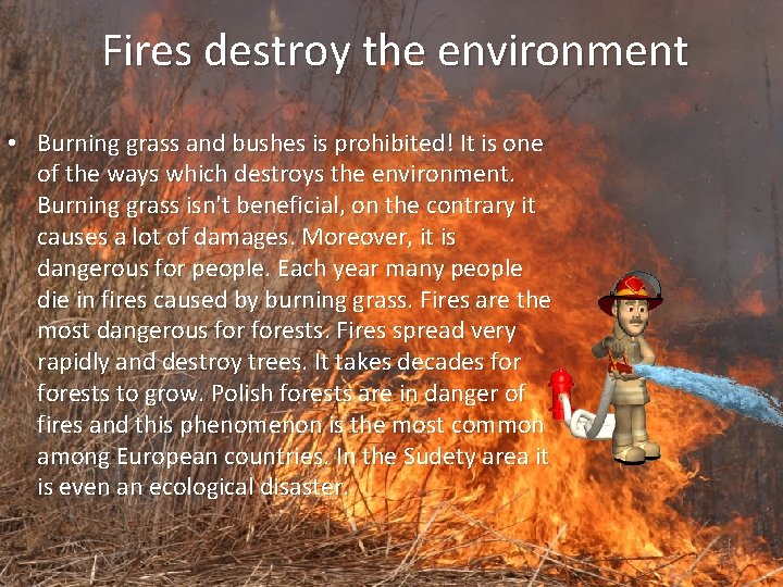 Fires destroy the environment • Burning grass and bushes is prohibited! It is one