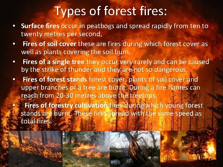 Types of forest fires: • Surface fires occur in peatbogs and spread rapidly from