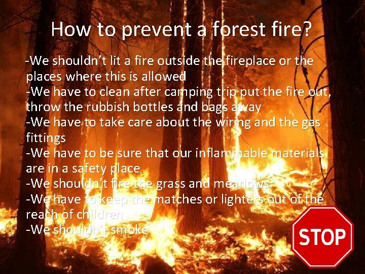 How to prevent a forest fire? -We shouldn’t lit a fire outside the fireplace