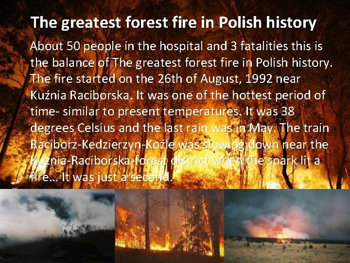 The greatest forest fire in Polish history About 50 people in the hospital and