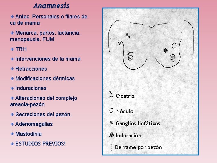 Anamnesis Antec. Personales o fliares de ca de mama Menarca, partos, lactancia, menopausia. FUM