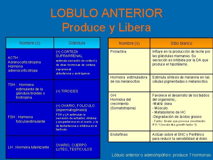 LOBULO ANTERIOR Produce y Libera Nombre (s) ACTH : Adrenocorticotropina Hormona adrenocorticotropa TSH :