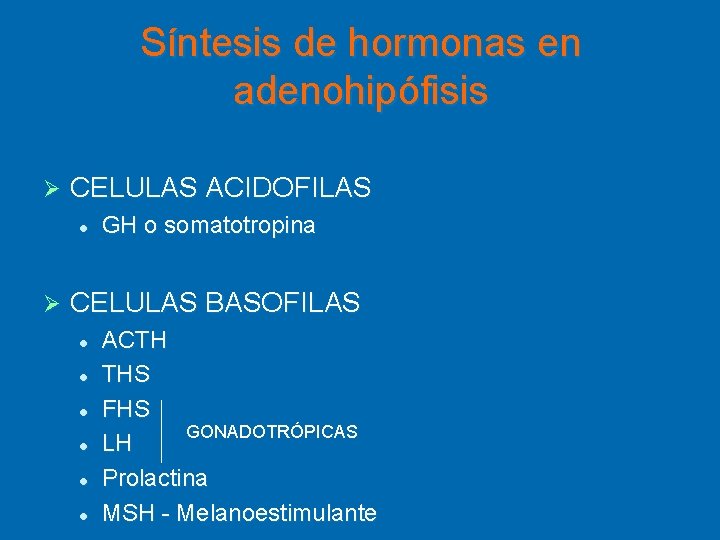 Síntesis de hormonas en adenohipófisis Ø CELULAS ACIDOFILAS l Ø GH o somatotropina CELULAS